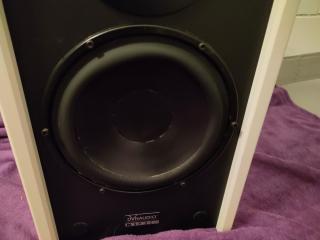 DYNAUDIO MSP 220