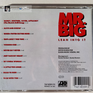 Mr. Big - Lean Into IT