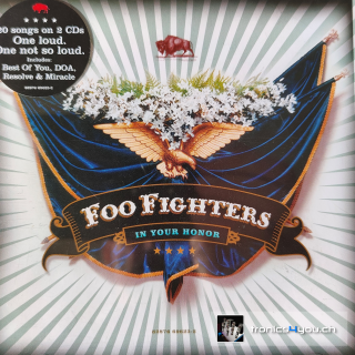 Foo Fighters - In Your Honor