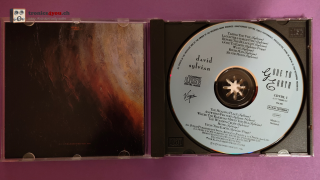 David Sylvian – Gone To Earth