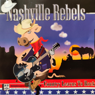 Nashville Rebels - Country Learns to Rock